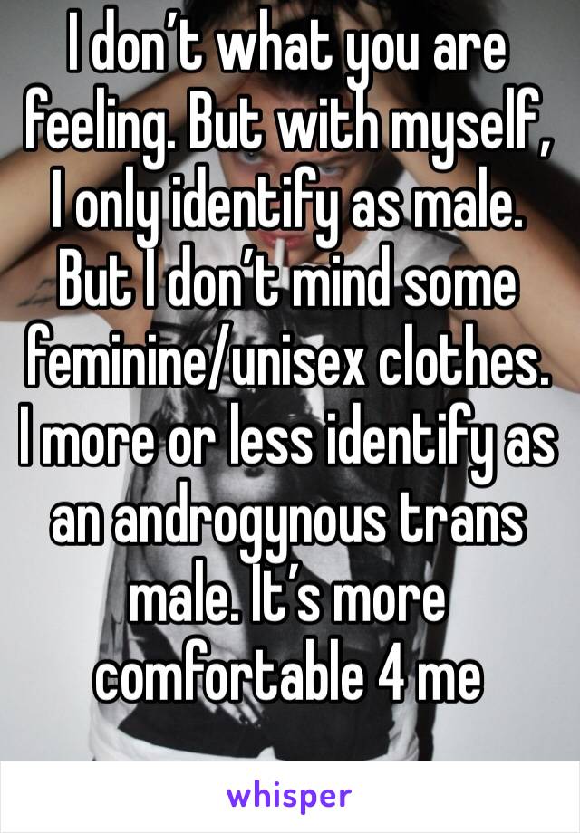 I don’t what you are feeling. But with myself, I only identify as male. But I don’t mind some feminine/unisex clothes. I more or less identify as an androgynous trans male. It’s more comfortable 4 me