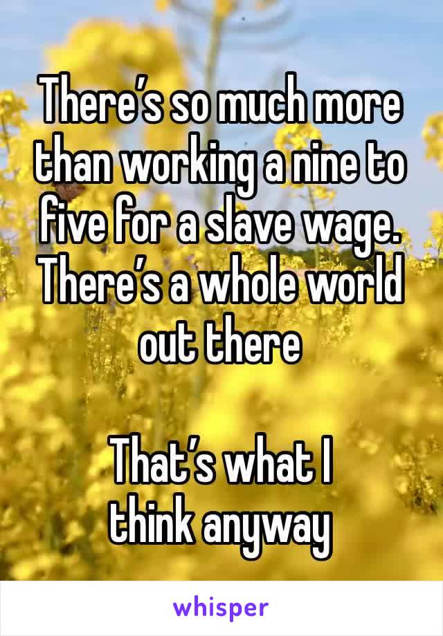 There’s so much more than working a nine to five for a slave wage. There’s a whole world out there 

That’s what I think anyway 