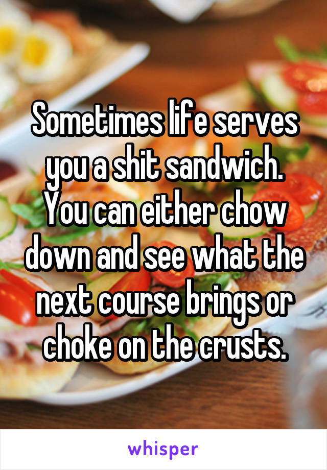 Sometimes life serves you a shit sandwich. You can either chow down and see what the next course brings or choke on the crusts.