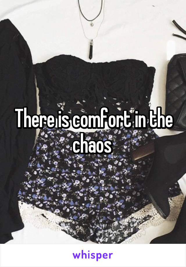 There is comfort in the chaos 