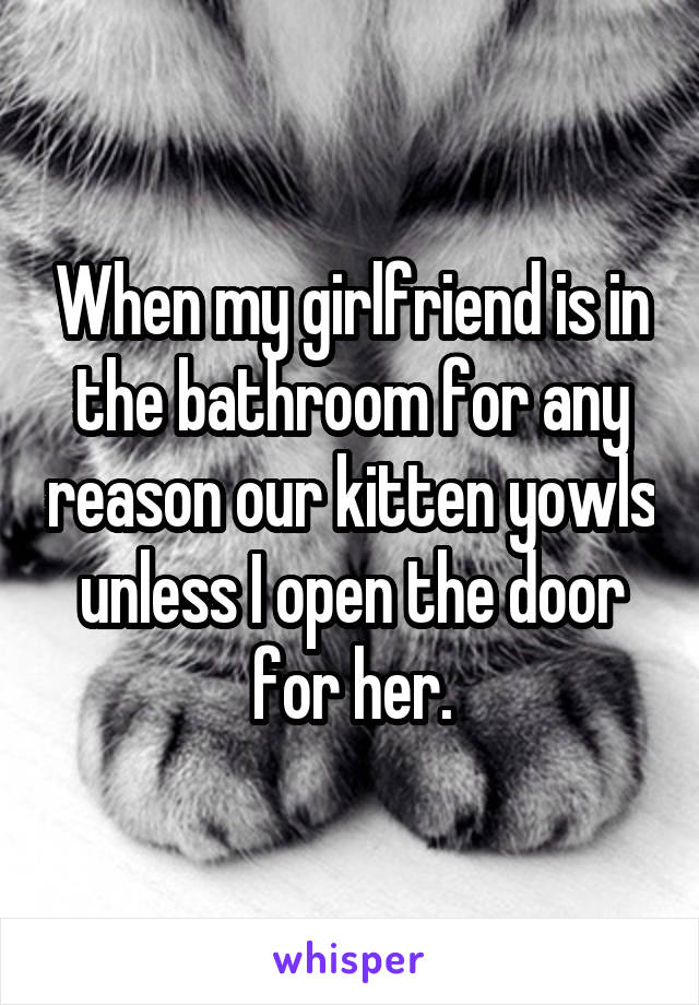 When my girlfriend is in the bathroom for any reason our kitten yowls unless I open the door for her.