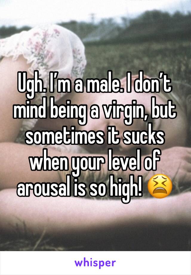 Ugh. I’m a male. I don’t mind being a virgin, but sometimes it sucks when your level of arousal is so high! 😫