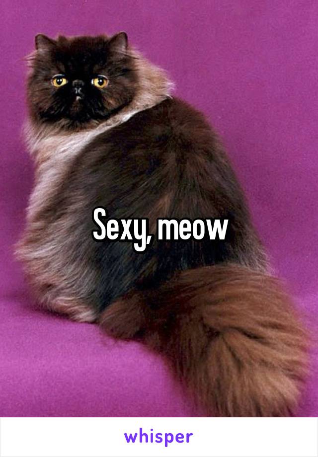Sexy, meow