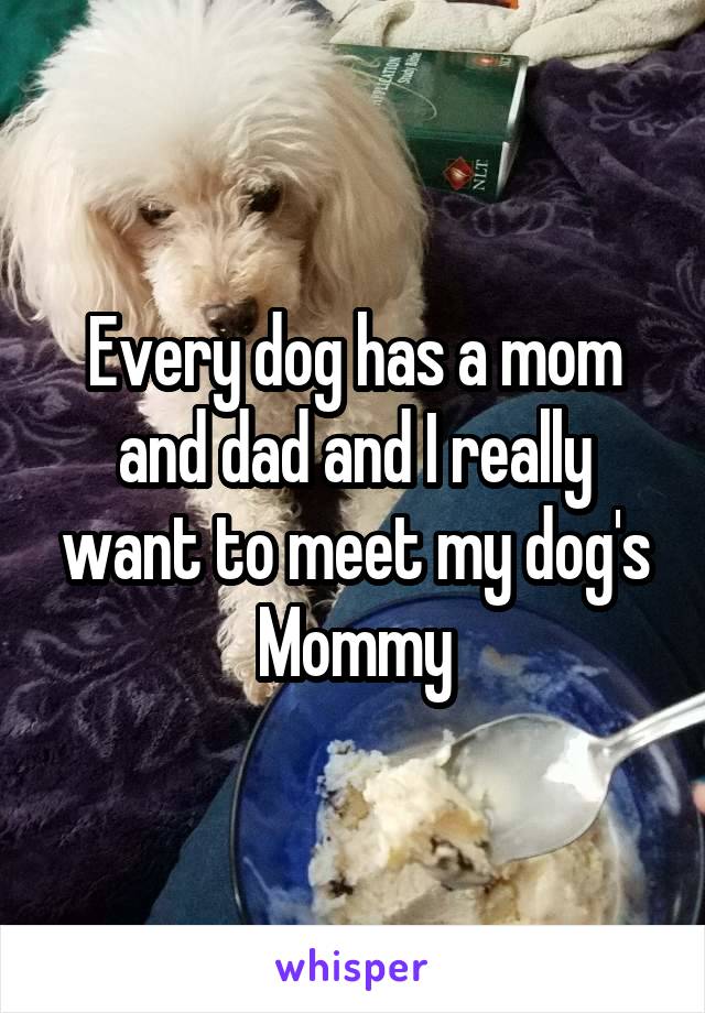Every dog has a mom and dad and I really want to meet my dog's Mommy