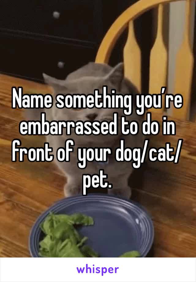 Name something you’re embarrassed to do in front of your dog/cat/pet.