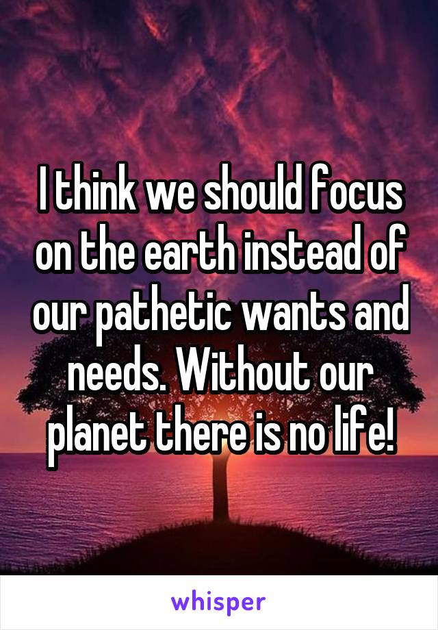 I think we should focus on the earth instead of our pathetic wants and needs. Without our planet there is no life!