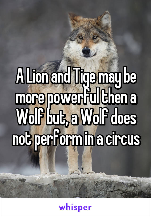 A Lion and Tige may be more powerful then a Wolf but, a Wolf does not perform in a circus