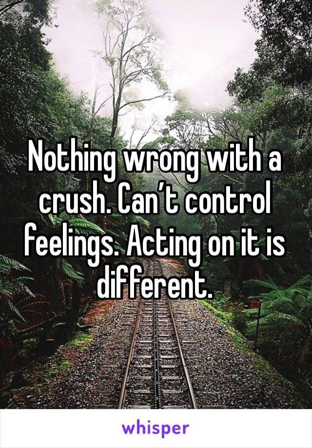 Nothing wrong with a crush. Can’t control feelings. Acting on it is different. 