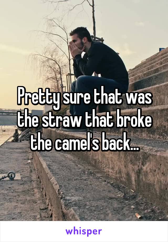 Pretty sure that was the straw that broke the camel's back...