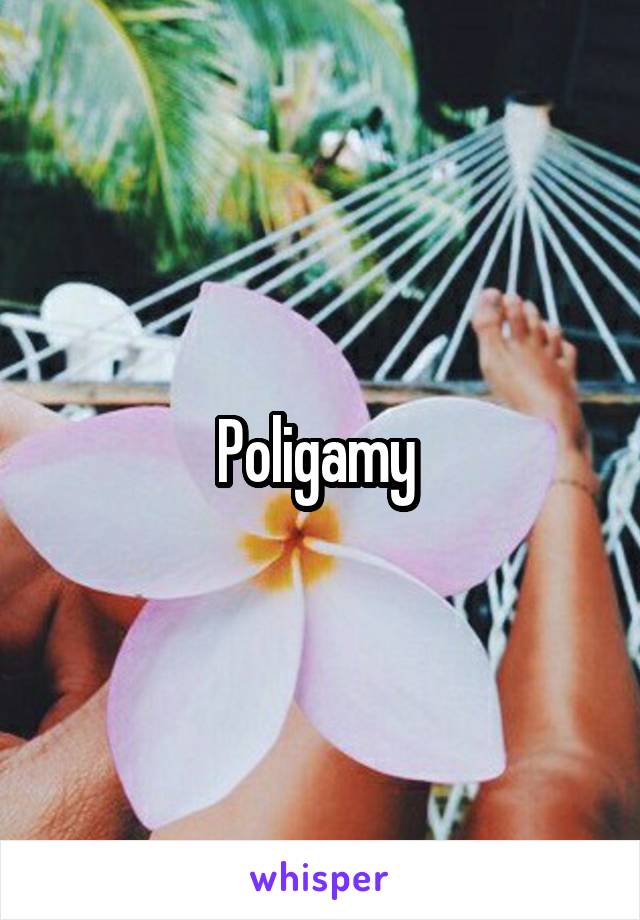 Poligamy 