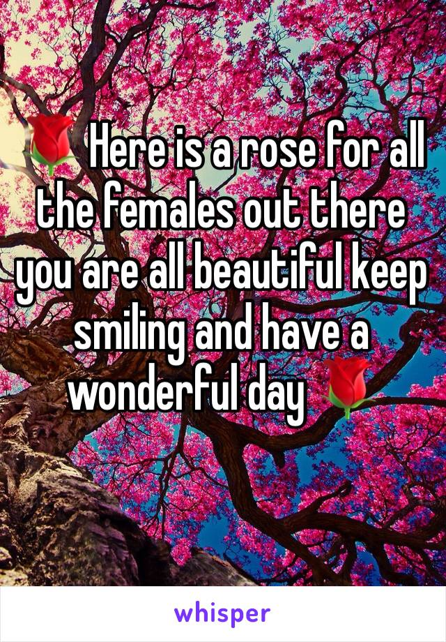 🌹 Here is a rose for all the females out there you are all beautiful keep smiling and have a wonderful day 🌹