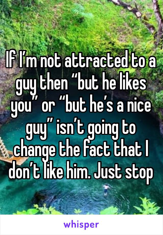 If I’m not attracted to a guy then “but he likes you” or “but he’s a nice guy” isn’t going to change the fact that I don’t like him. Just stop 