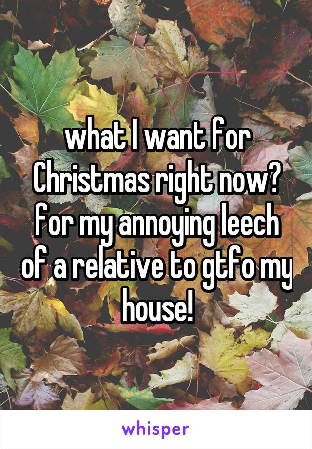 what I want for Christmas right now? for my annoying leech of a relative to gtfo my house!