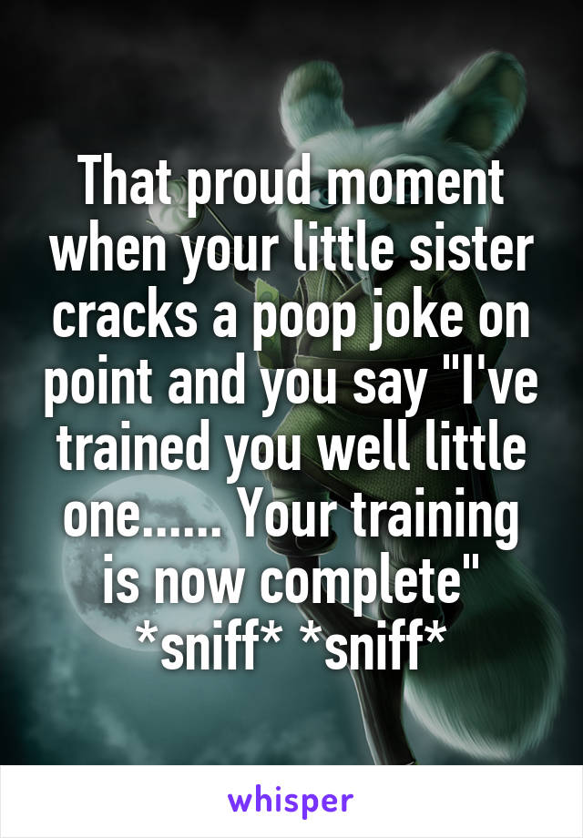 That proud moment when your little sister cracks a poop joke on point and you say "I've trained you well little one...... Your training is now complete" *sniff* *sniff*