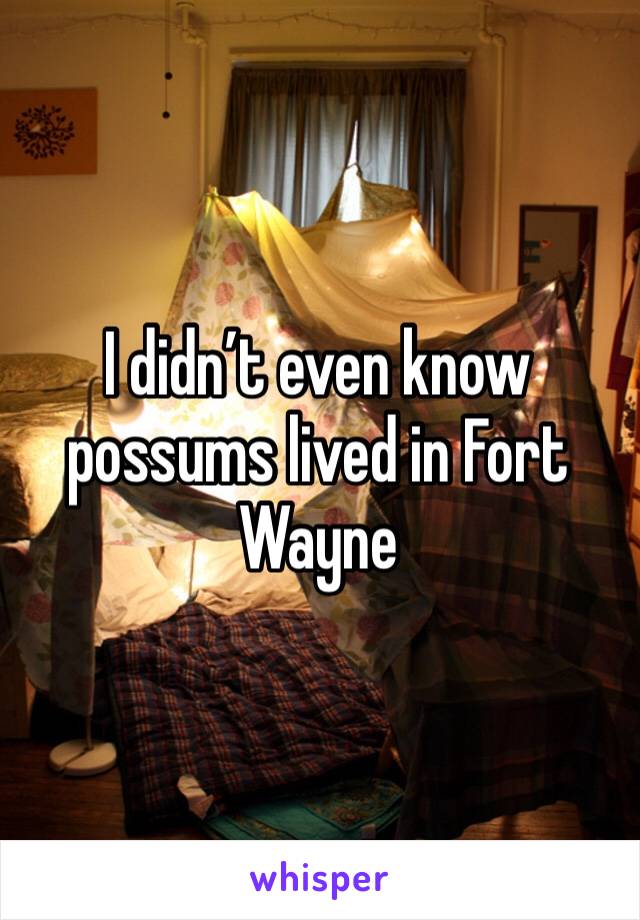I didn’t even know possums lived in Fort Wayne