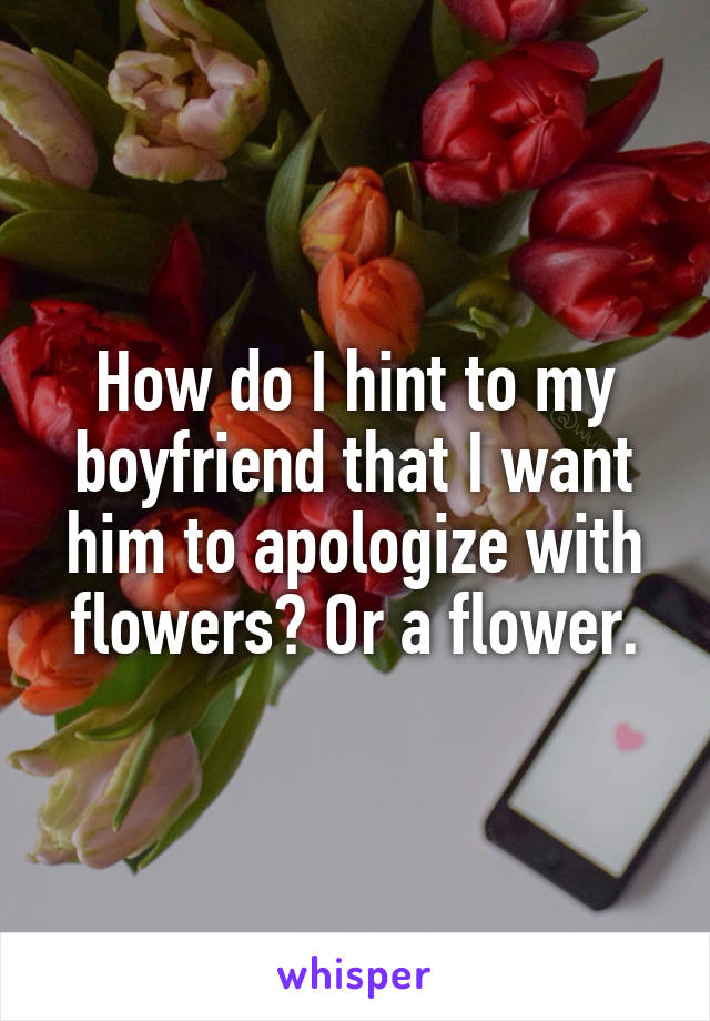 How do I hint to my boyfriend that I want him to apologize with flowers? Or a flower.