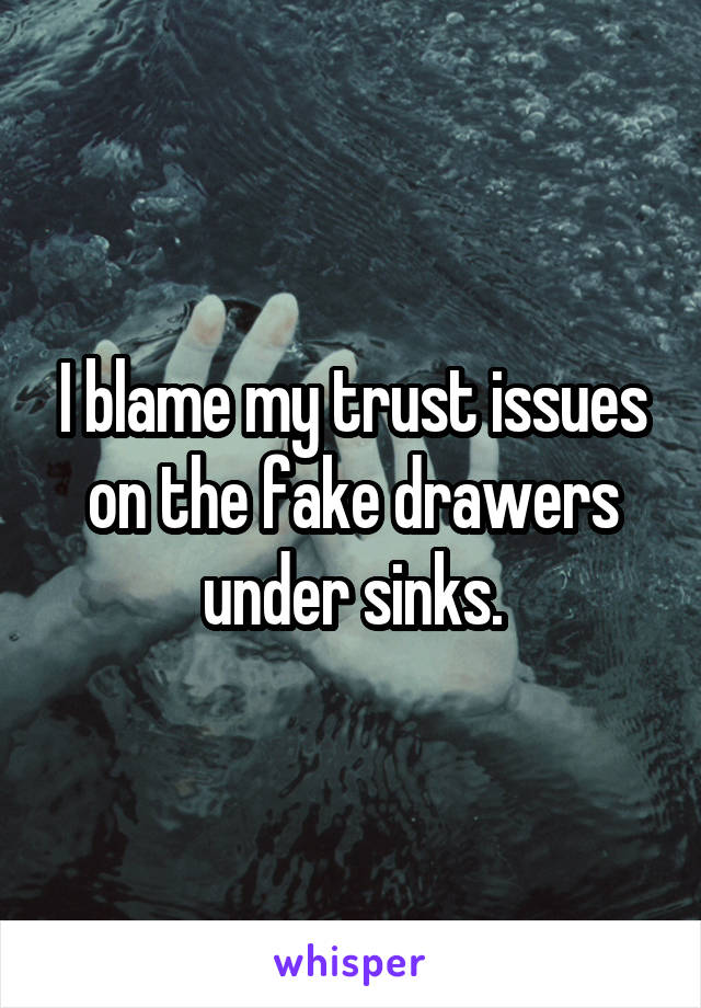 I blame my trust issues on the fake drawers under sinks.
