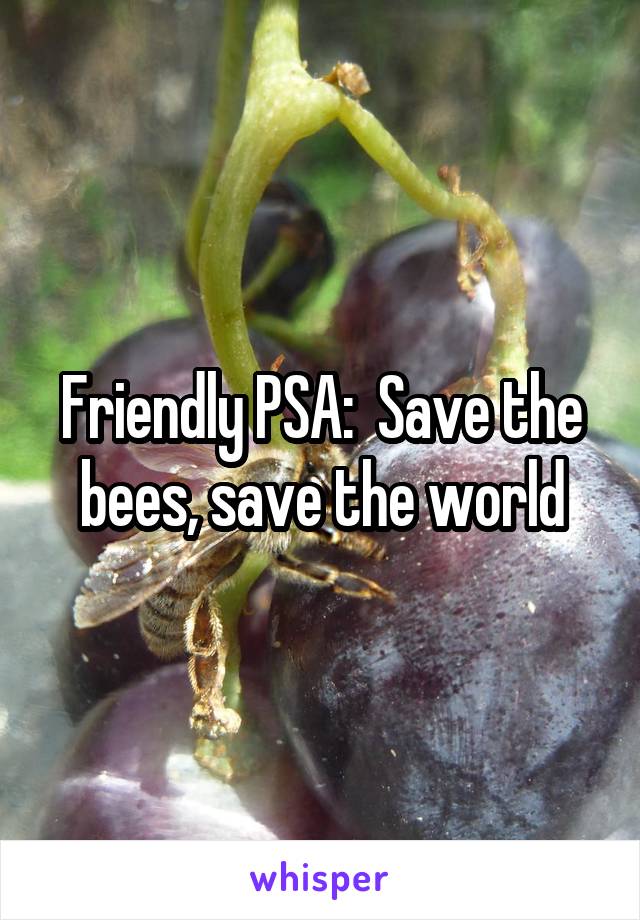 Friendly PSA:  Save the bees, save the world