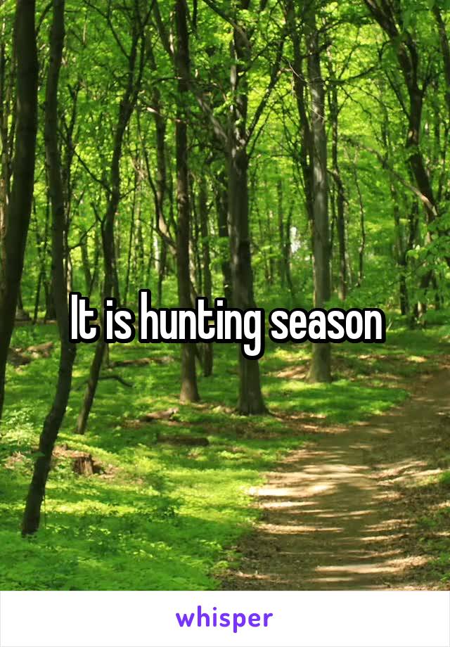 It is hunting season