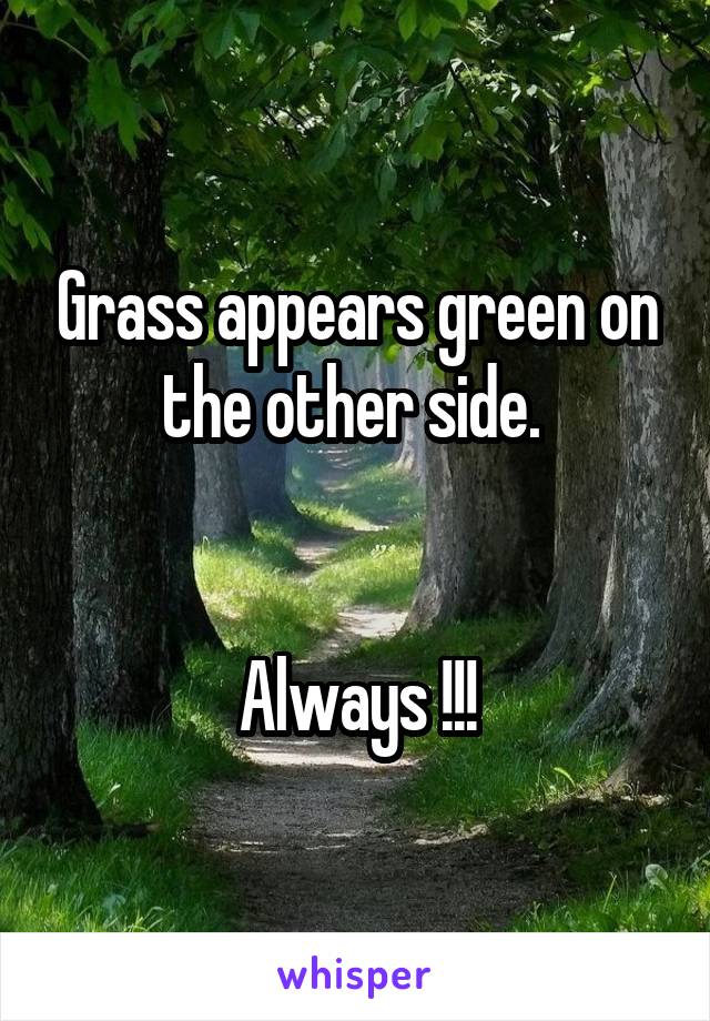 Grass appears green on the other side. 


Always !!!