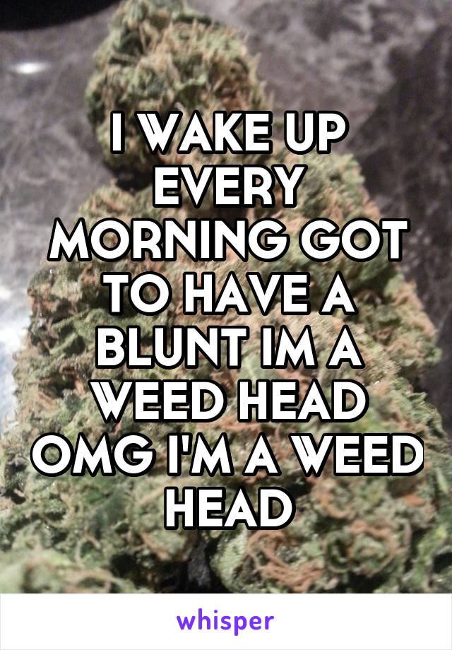 I WAKE UP EVERY MORNING GOT TO HAVE A BLUNT IM A WEED HEAD OMG I'M A WEED HEAD