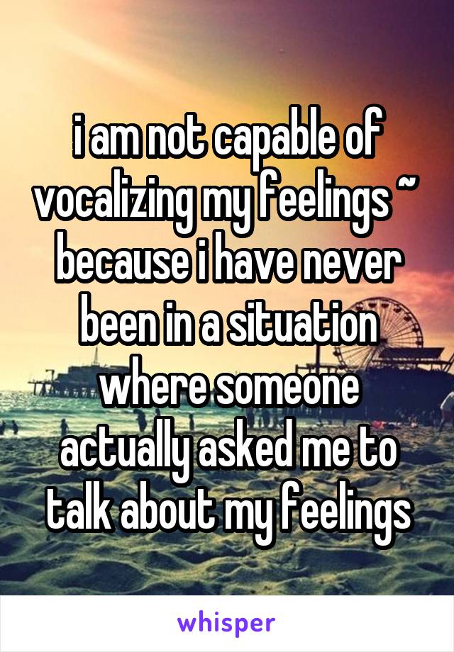 i am not capable of vocalizing my feelings ~  because i have never been in a situation where someone actually asked me to talk about my feelings