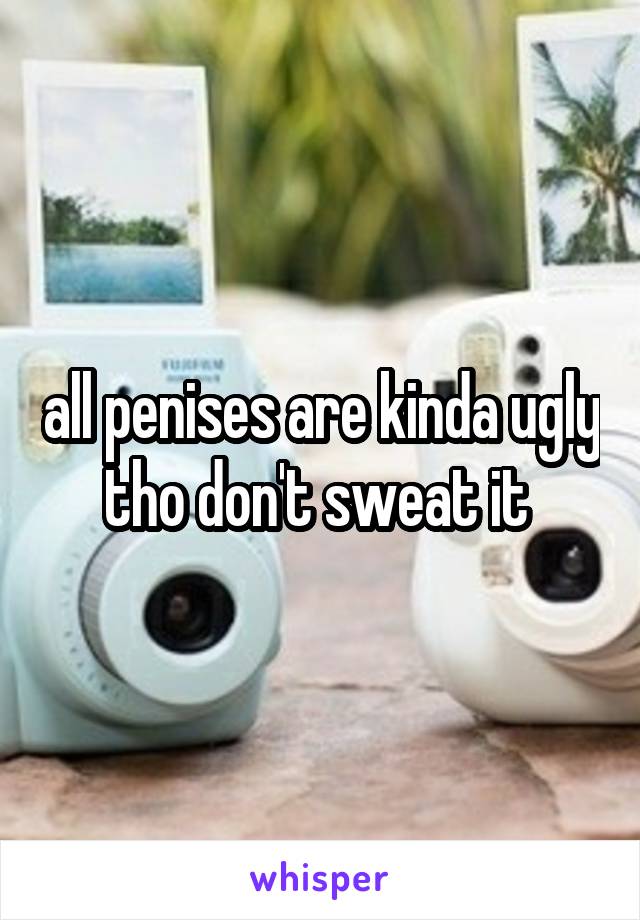 all penises are kinda ugly tho don't sweat it 