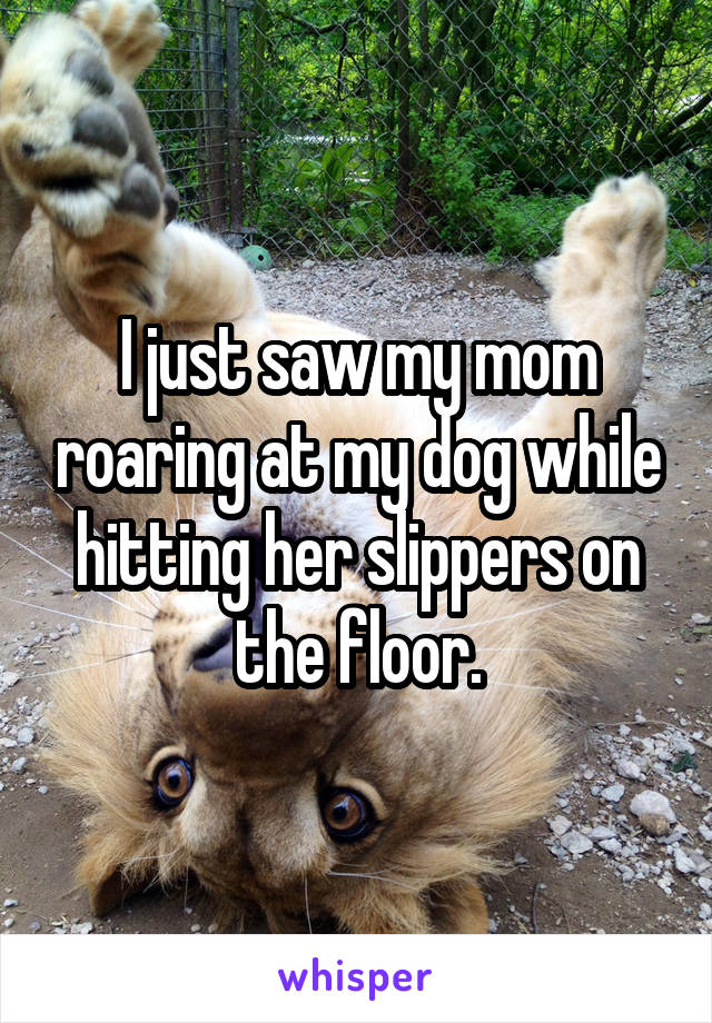 I just saw my mom roaring at my dog while hitting her slippers on the floor.
