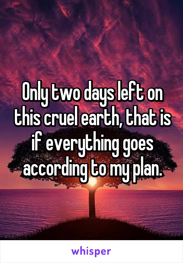 Only two days left on this cruel earth, that is if everything goes according to my plan.