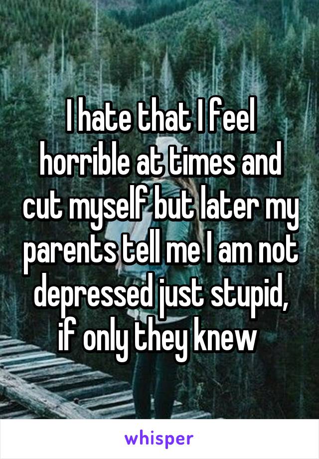 I hate that I feel horrible at times and cut myself but later my parents tell me I am not depressed just stupid, if only they knew 