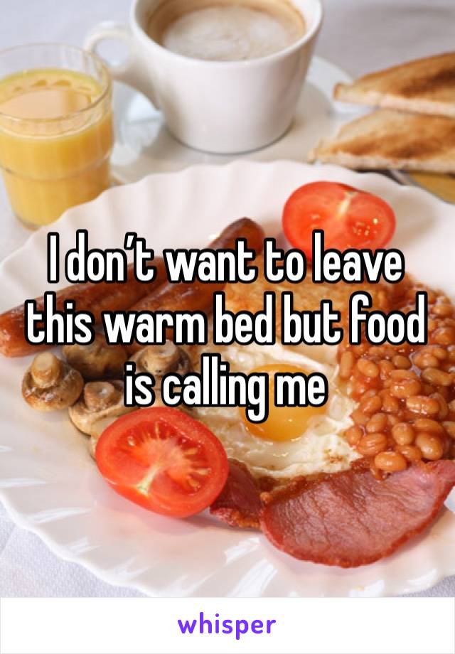 I don’t want to leave this warm bed but food is calling me 