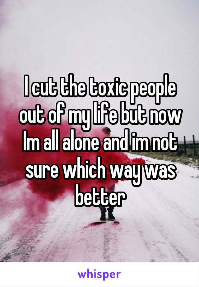 I cut the toxic people out of my life but now Im all alone and im not sure which way was better