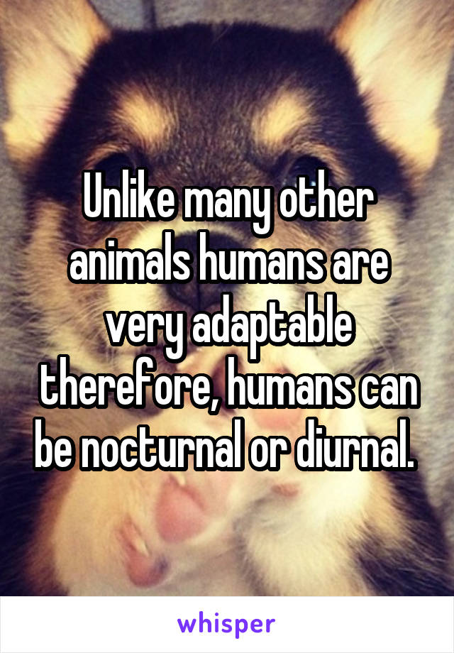 Unlike many other animals humans are very adaptable therefore, humans can be nocturnal or diurnal. 