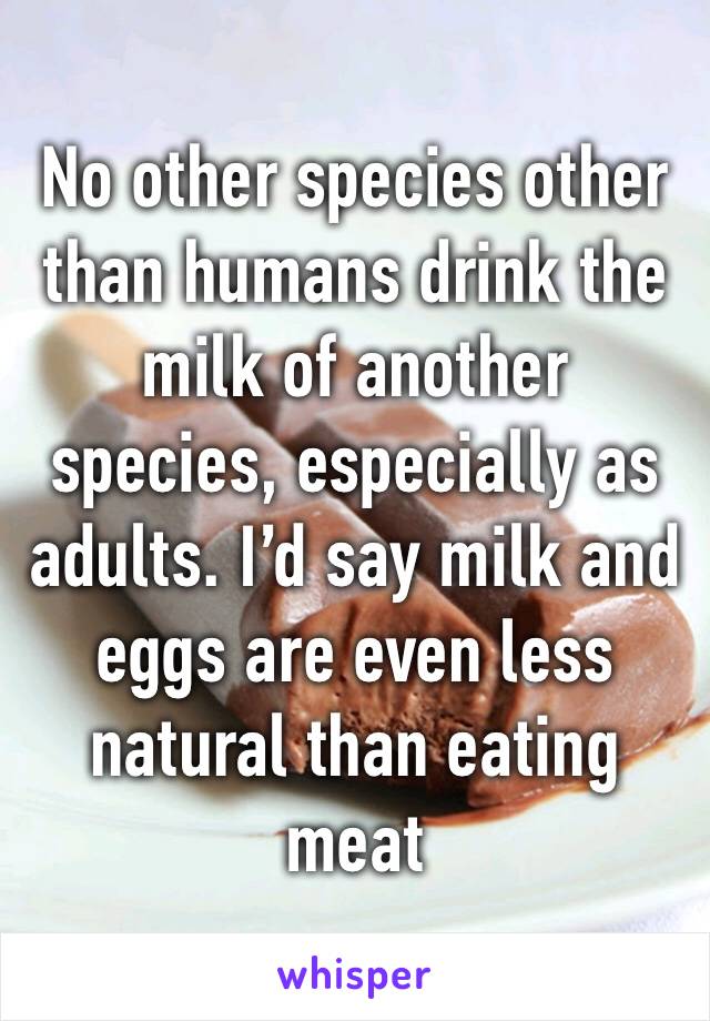 No other species other than humans drink the milk of another species, especially as adults. I’d say milk and eggs are even less natural than eating meat