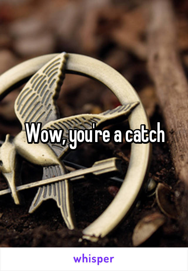 Wow, you're a catch