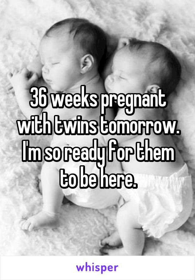 36 weeks pregnant with twins tomorrow. I'm so ready for them to be here.