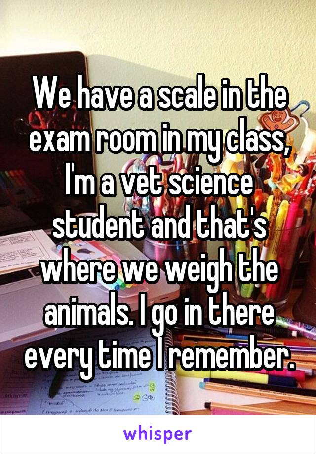 We have a scale in the exam room in my class, I'm a vet science student and that's where we weigh the animals. I go in there every time I remember.