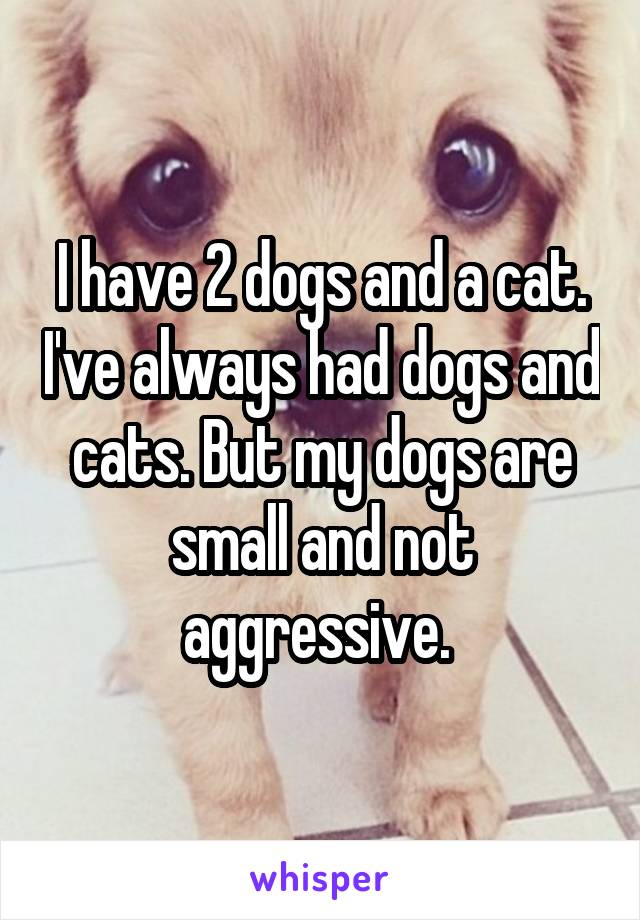 I have 2 dogs and a cat. I've always had dogs and cats. But my dogs are small and not aggressive. 