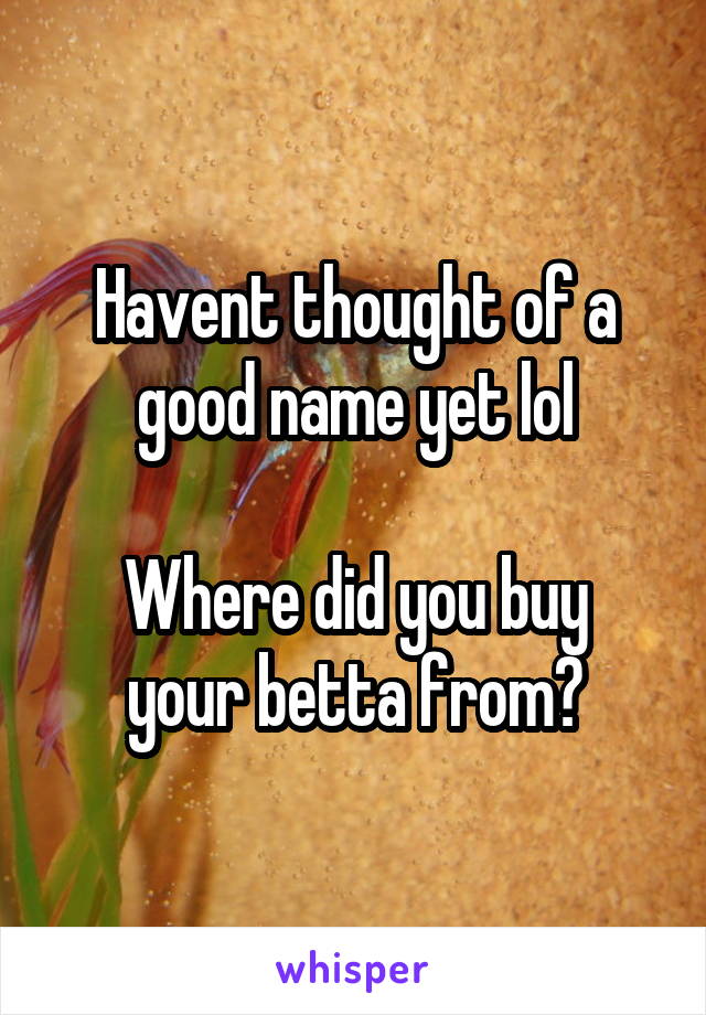 Havent thought of a good name yet lol

Where did you buy your betta from?