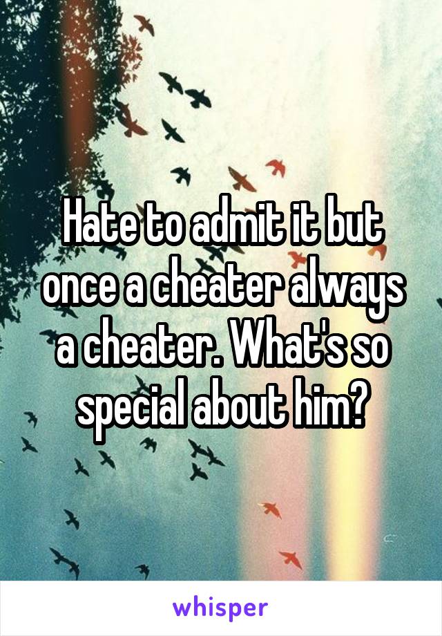 Hate to admit it but once a cheater always a cheater. What's so special about him?