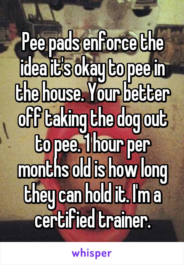 Pee pads enforce the idea it's okay to pee in the house. Your better off taking the dog out to pee. 1 hour per months old is how long they can hold it. I'm a certified trainer.