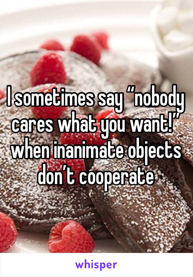 I sometimes say “nobody cares what you want!” when inanimate objects don’t cooperate