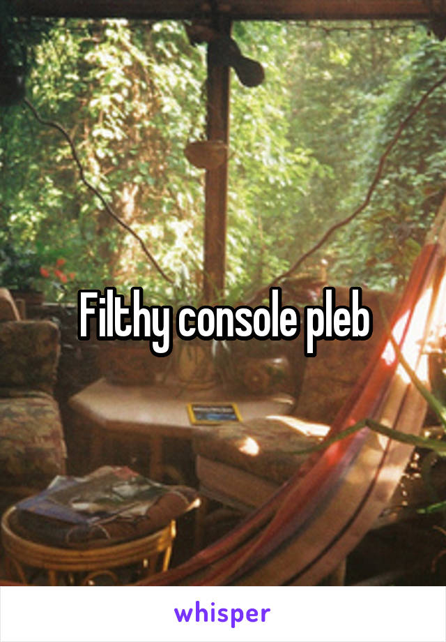 Filthy console pleb