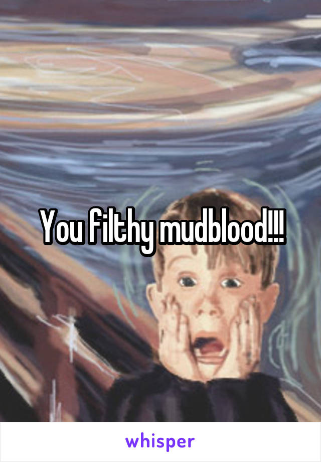 You filthy mudblood!!!