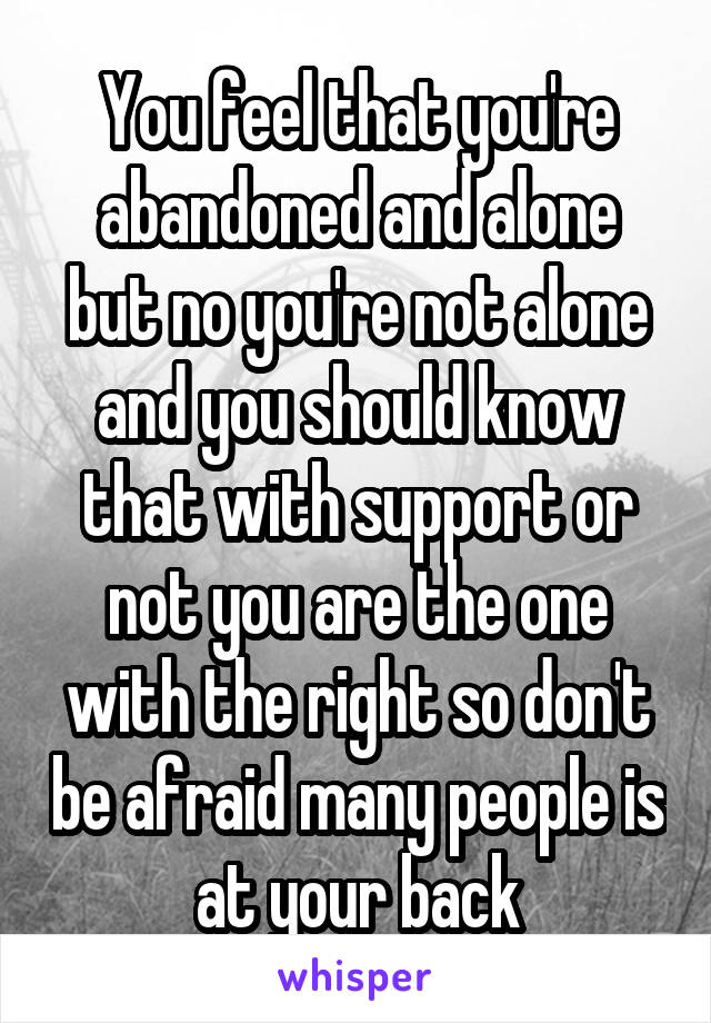 You feel that you're abandoned and alone but no you're not alone and you should know that with support or not you are the one with the right so don't be afraid many people is at your back