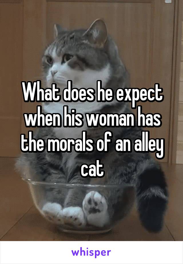 What does he expect when his woman has the morals of an alley cat