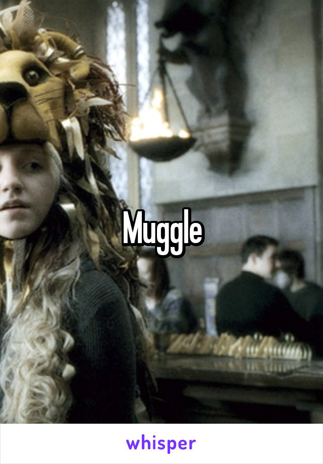 Muggle