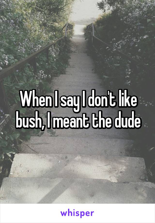 When I say I don't like bush, I meant the dude