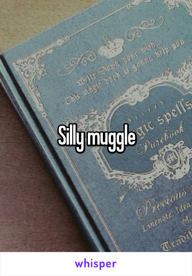 Silly muggle