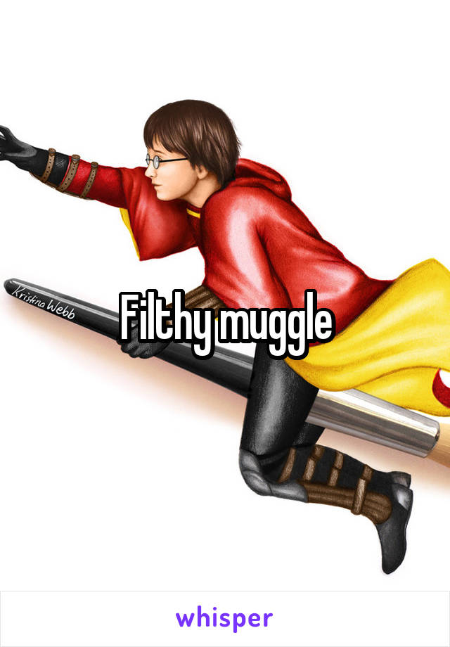 Filthy muggle